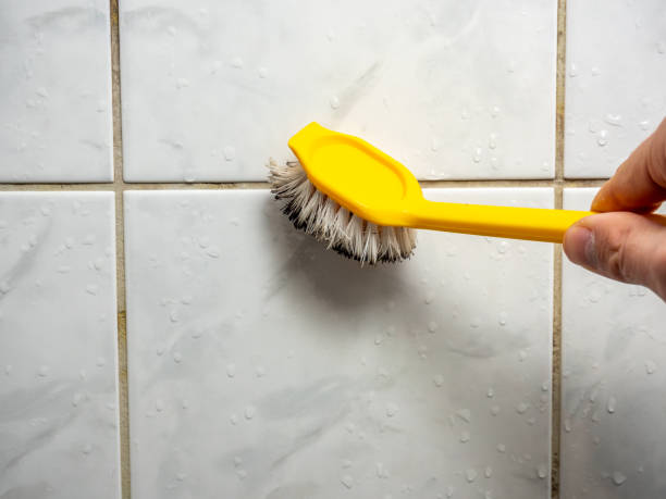 Best Mold Testing and Inspection Services in Fairfield, CA