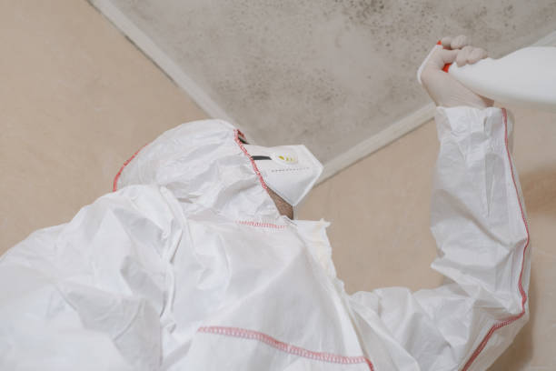 Fairfield, CA Mold Remediation Company