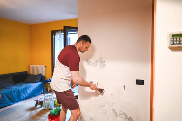 Best Crawl Space Mold Remediation in Fairfield, CA